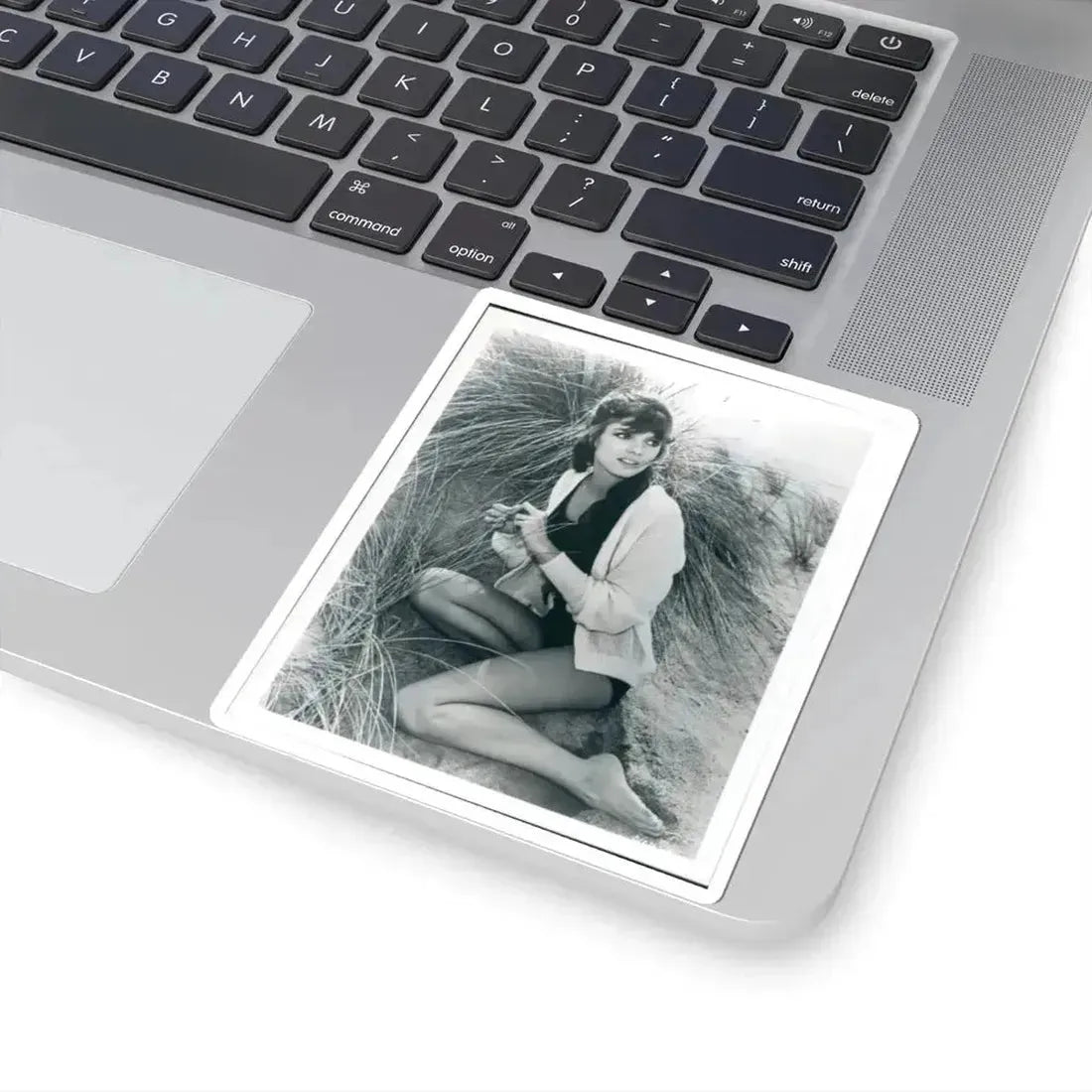 Katharine Ross #97 (Vintage Female Icon) STICKER Vinyl Kiss-Cut Decal - The Sticker Space