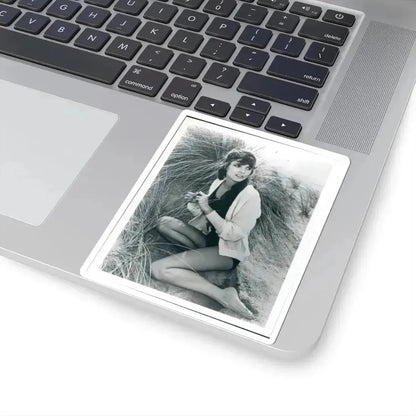 Katharine Ross #97 (Vintage Female Icon) STICKER Vinyl Kiss-Cut Decal - The Sticker Space