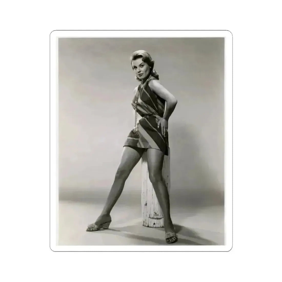 Kathleen Crowley #01 (Vintage Female Icon) STICKER Vinyl Kiss-Cut Decal 3 Inch White - The Sticker Space