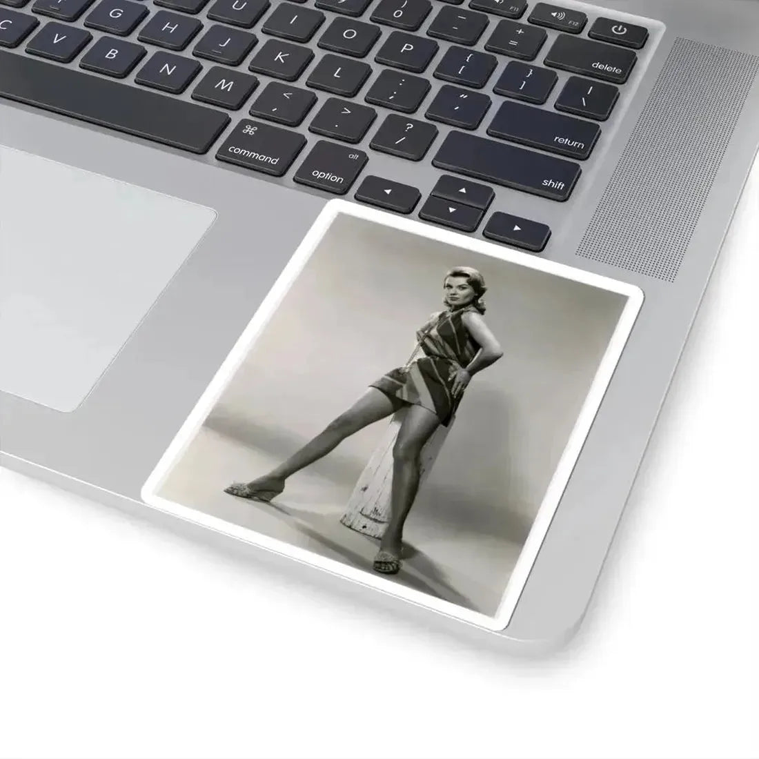 Kathleen Crowley #01 (Vintage Female Icon) STICKER Vinyl Kiss-Cut Decal - The Sticker Space