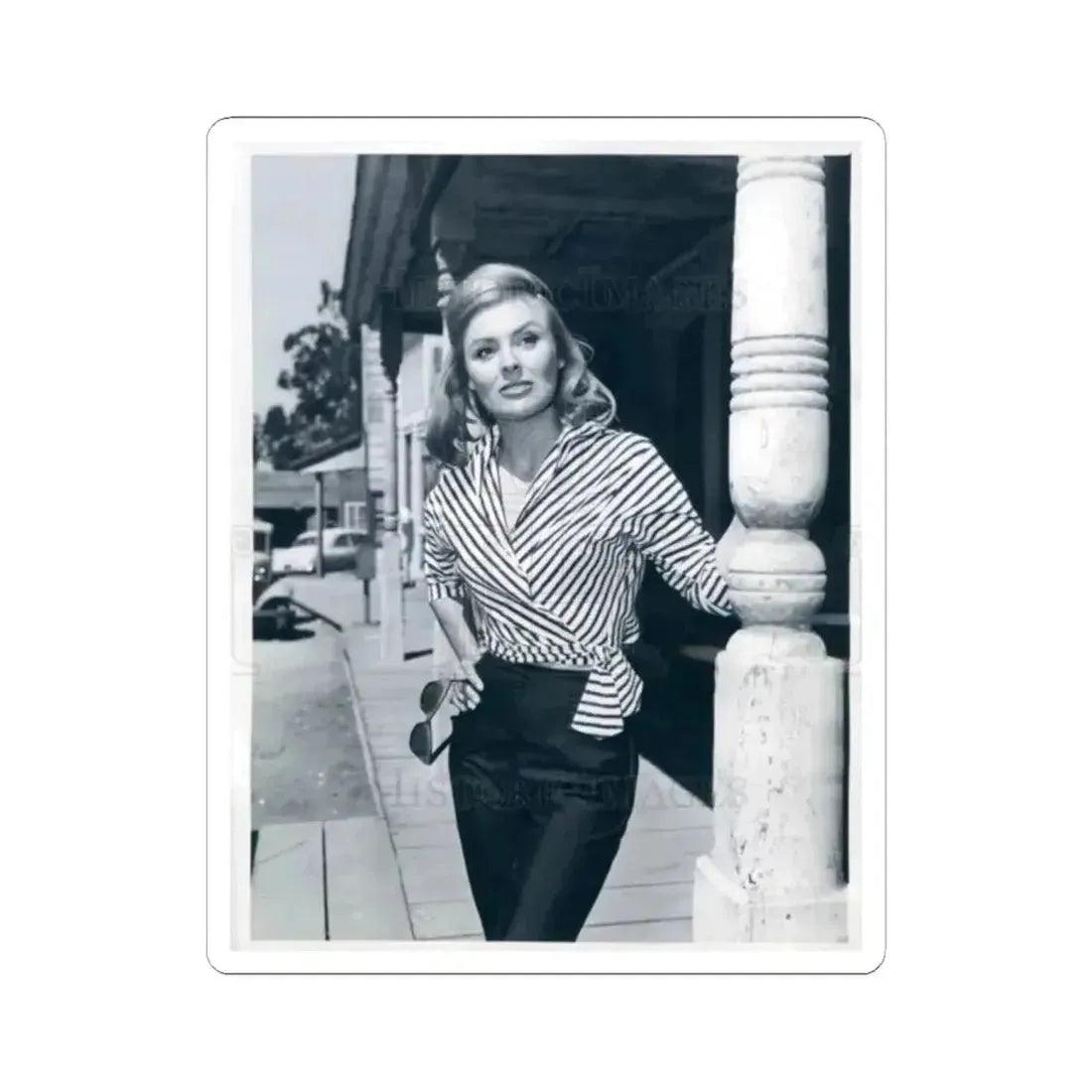 Kathleen Crowley #05 (Vintage Female Icon) STICKER Vinyl Kiss-Cut Decal 2 Inch White - The Sticker Space