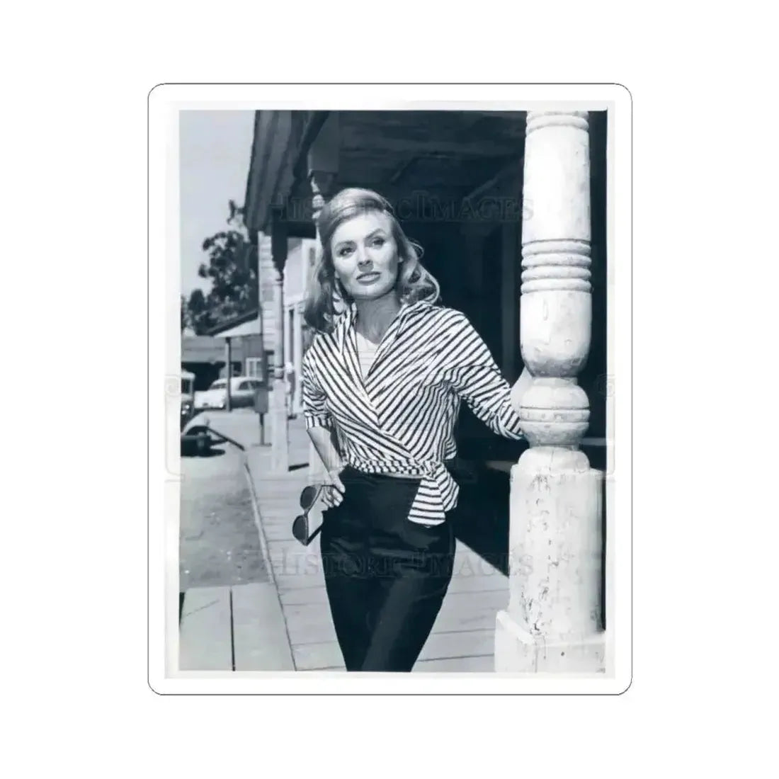 Kathleen Crowley #05 (Vintage Female Icon) STICKER Vinyl Kiss-Cut Decal 4 Inch White - The Sticker Space