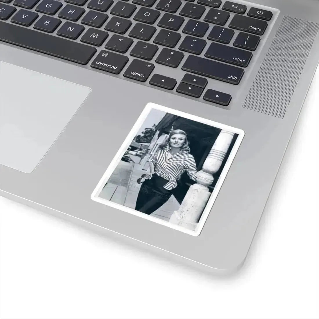 Kathleen Crowley #05 (Vintage Female Icon) STICKER Vinyl Kiss-Cut Decal - The Sticker Space