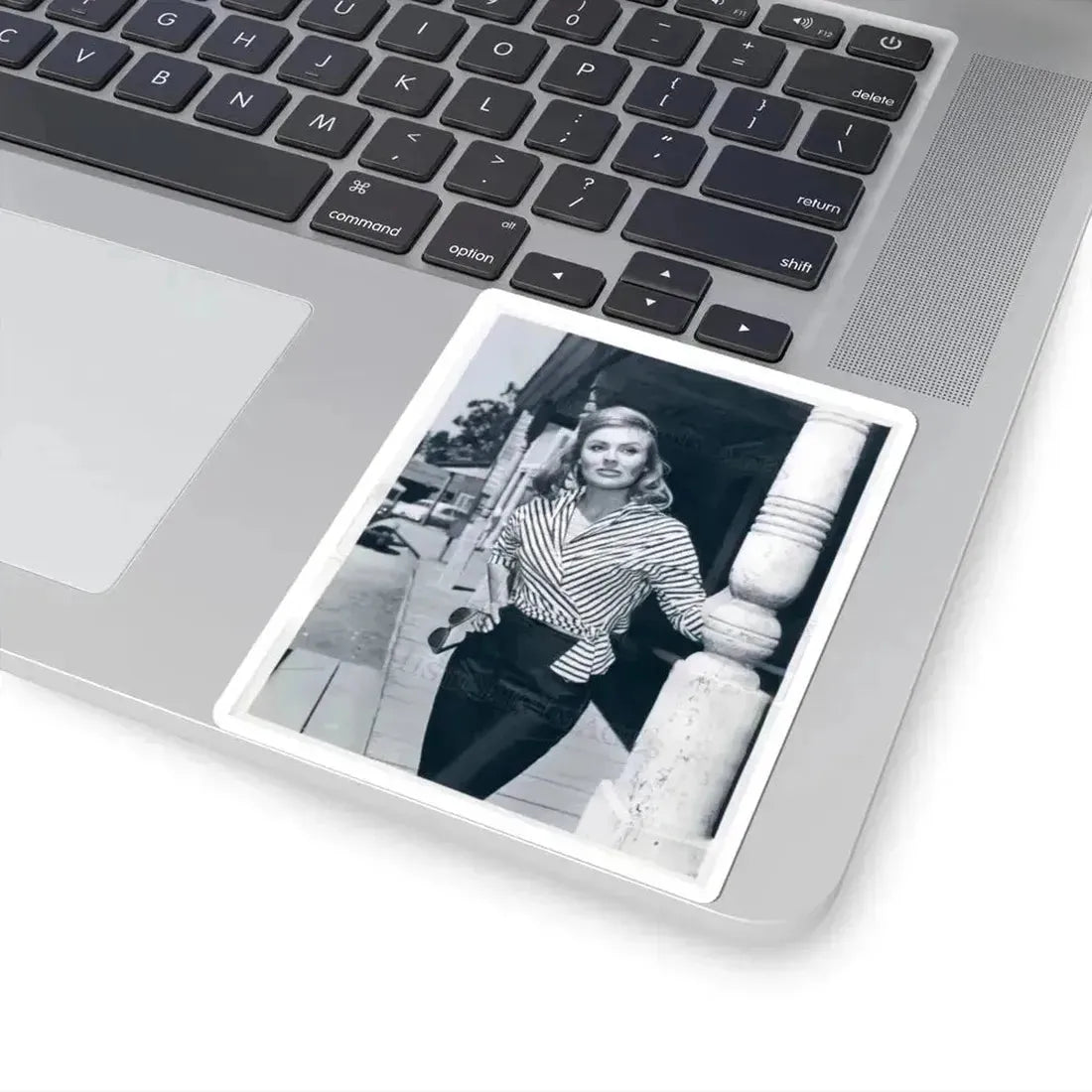 Kathleen Crowley #05 (Vintage Female Icon) STICKER Vinyl Kiss-Cut Decal - The Sticker Space