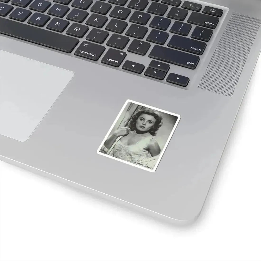 Kathleen Crowley #10 (Vintage Female Icon) STICKER Vinyl Kiss-Cut Decal - The Sticker Space