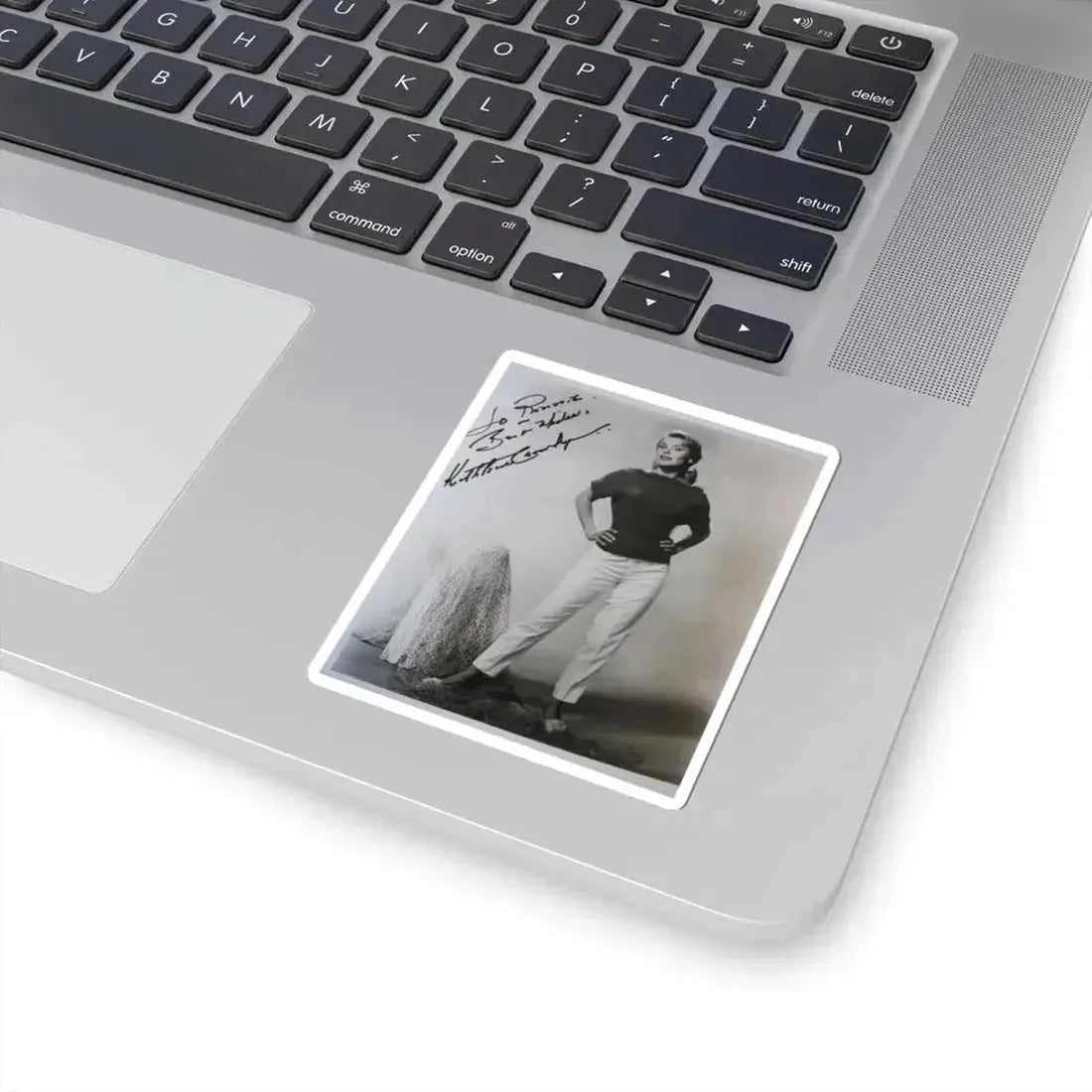 Kathleen Crowley #11 (Vintage Female Icon) STICKER Vinyl Kiss-Cut Decal - The Sticker Space