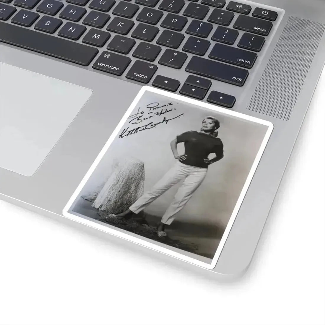 Kathleen Crowley #11 (Vintage Female Icon) STICKER Vinyl Kiss-Cut Decal - The Sticker Space