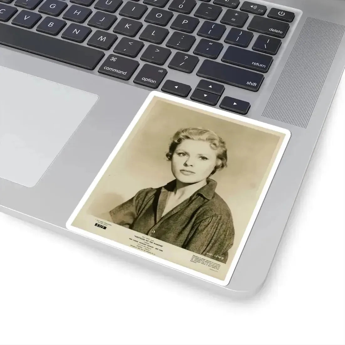 Kathleen Crowley #14 (Vintage Female Icon) STICKER Vinyl Kiss-Cut Decal - The Sticker Space