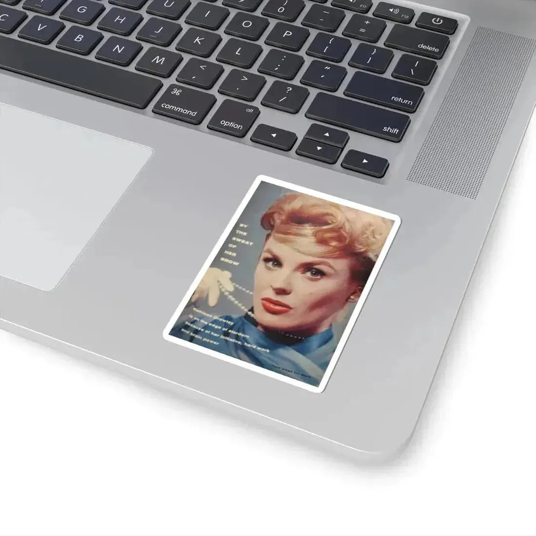 Kathleen Crowley #23 (Vintage Female Icon) STICKER Vinyl Kiss-Cut Decal - The Sticker Space
