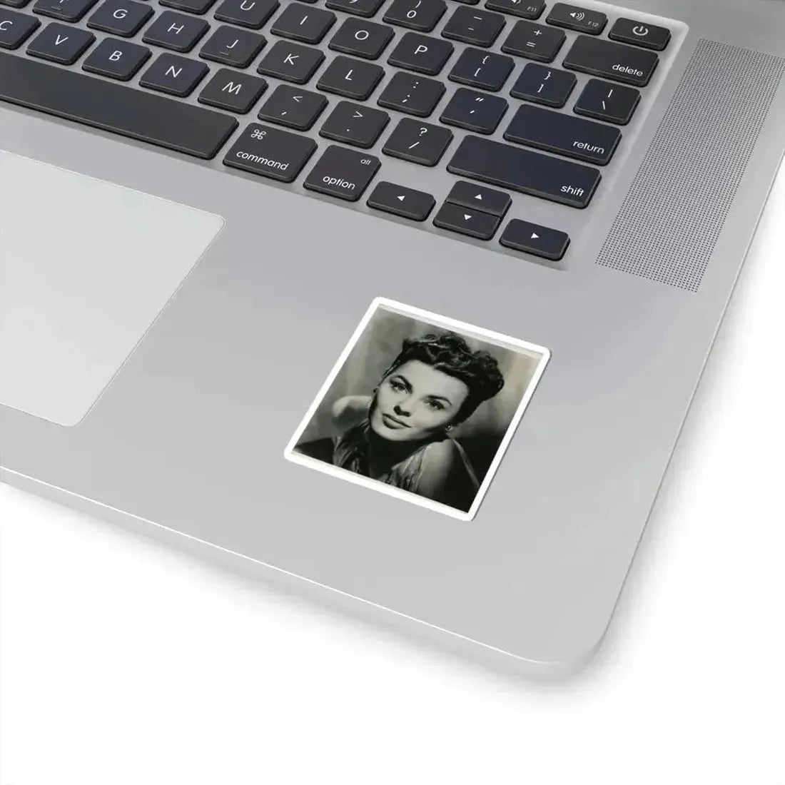 Kathleen Crowley #24 (Vintage Female Icon) STICKER Vinyl Kiss-Cut Decal - The Sticker Space