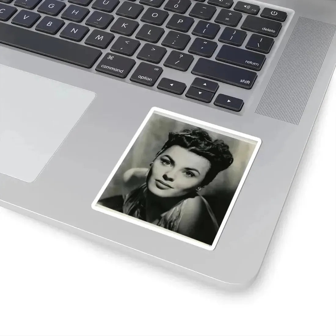 Kathleen Crowley #24 (Vintage Female Icon) STICKER Vinyl Kiss-Cut Decal - The Sticker Space