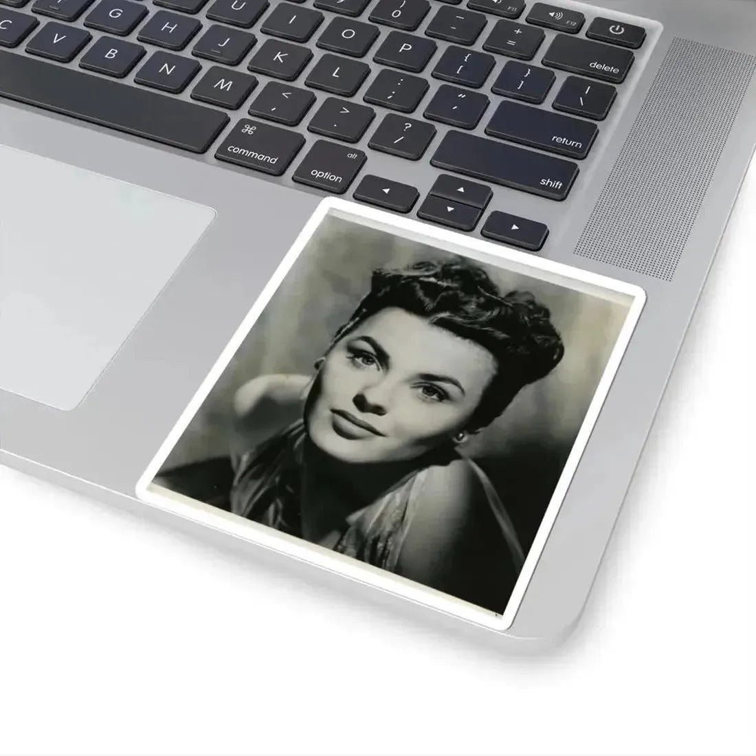 Kathleen Crowley #24 (Vintage Female Icon) STICKER Vinyl Kiss-Cut Decal - The Sticker Space