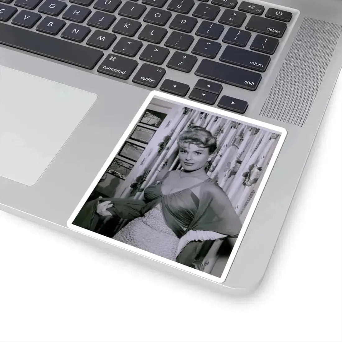 Kathleen Crowley #25 (Vintage Female Icon) STICKER Vinyl Kiss-Cut Decal - The Sticker Space