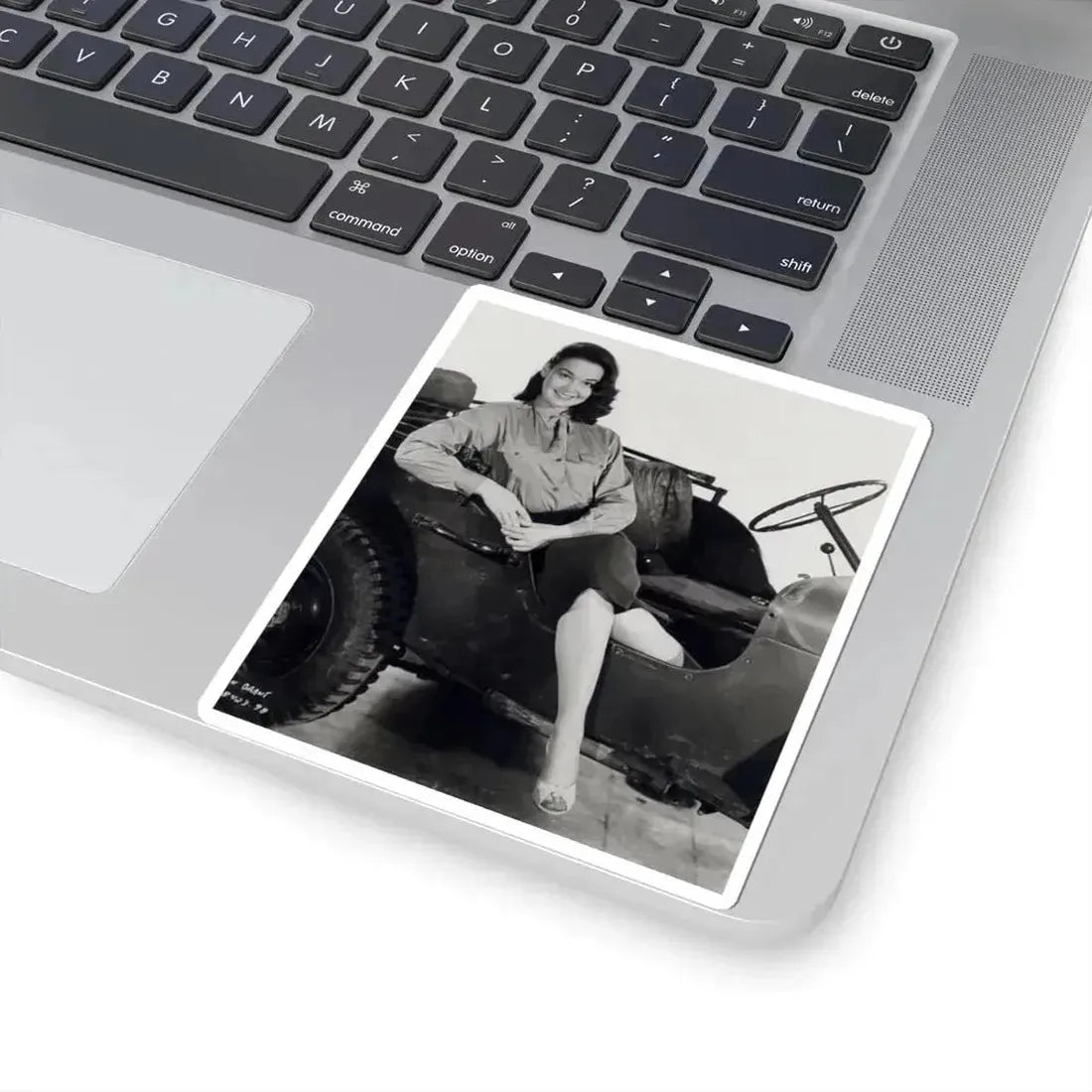 Kathryn Grant #67 (Vintage Female Icon) STICKER Vinyl Kiss-Cut Decal - The Sticker Space