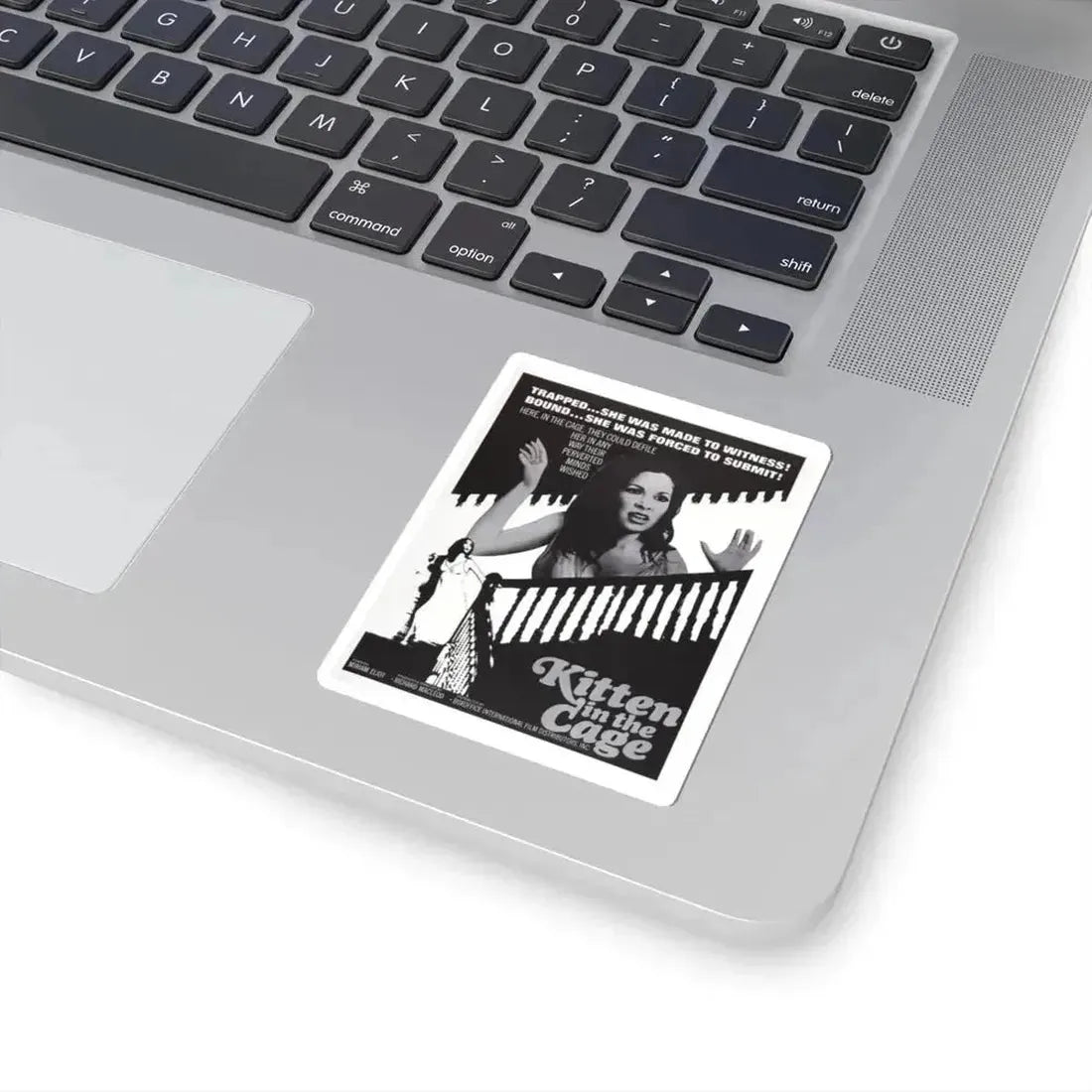KITTEN IN THE CAGE 1968 Movie Poster - STICKER Vinyl Kiss-Cut Decal - The Sticker Space