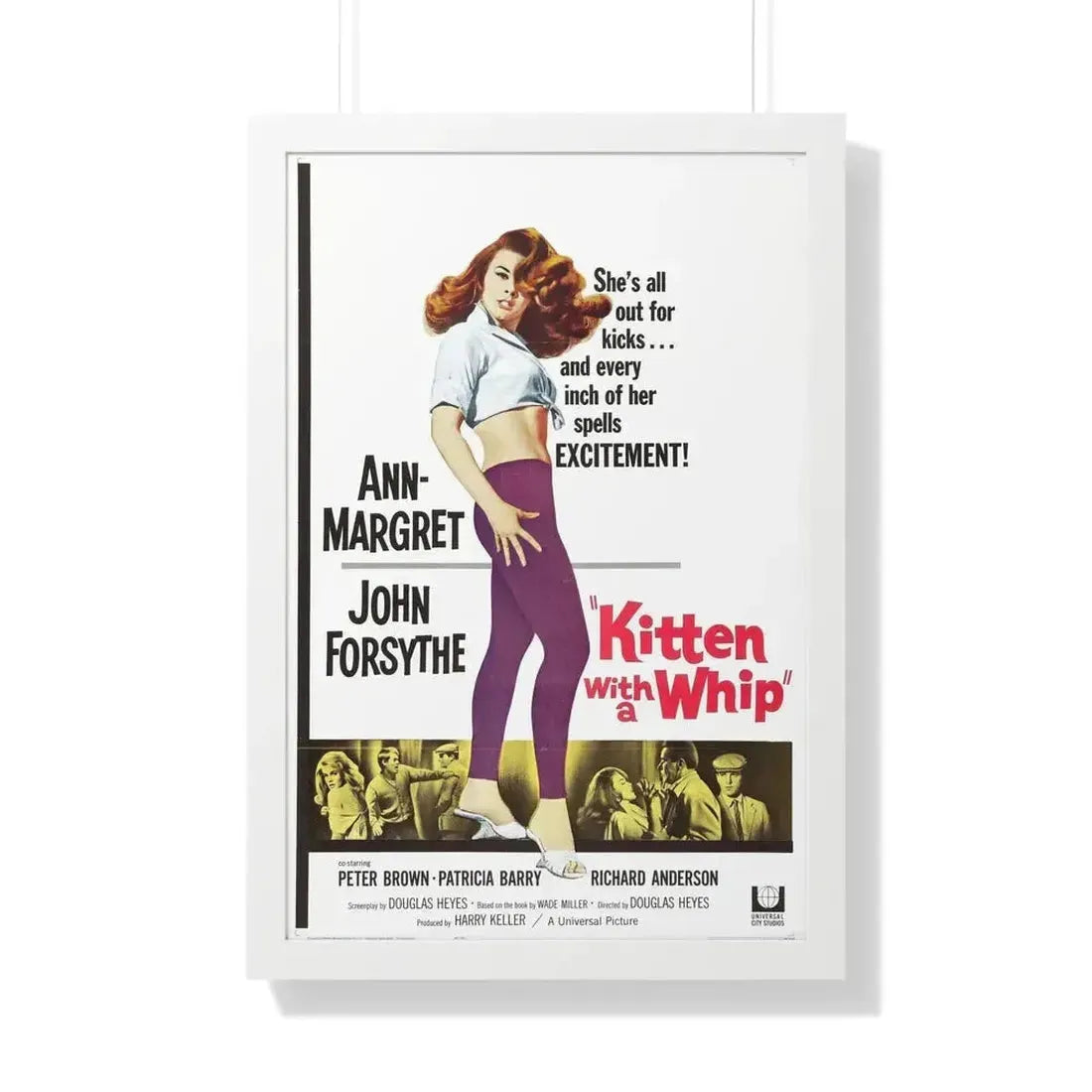 KITTEN WITH A WHIP 1964 - Framed Movie Poster - The Sticker Space