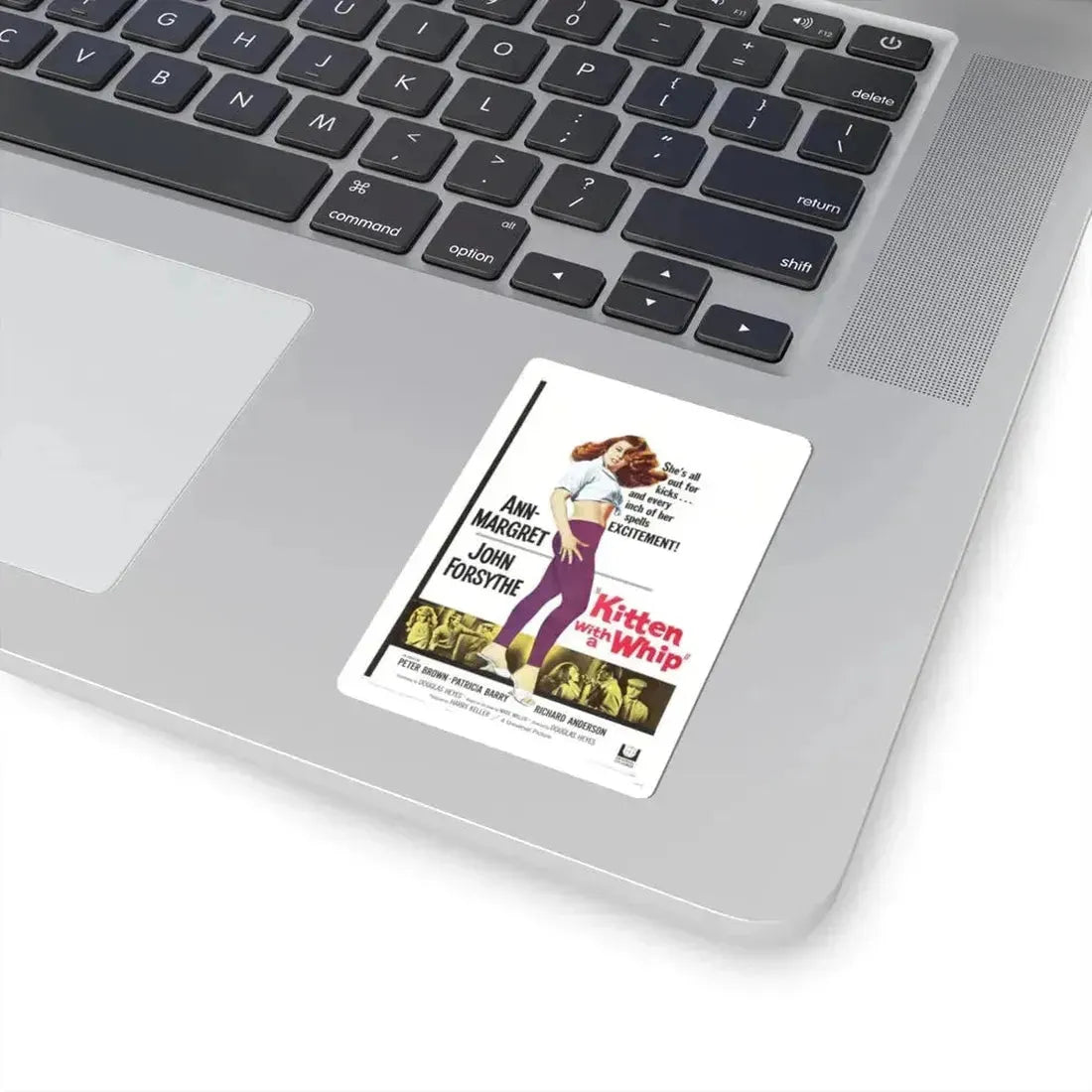 KITTEN WITH A WHIP 1964 Movie Poster - STICKER Vinyl Kiss-Cut Decal - The Sticker Space