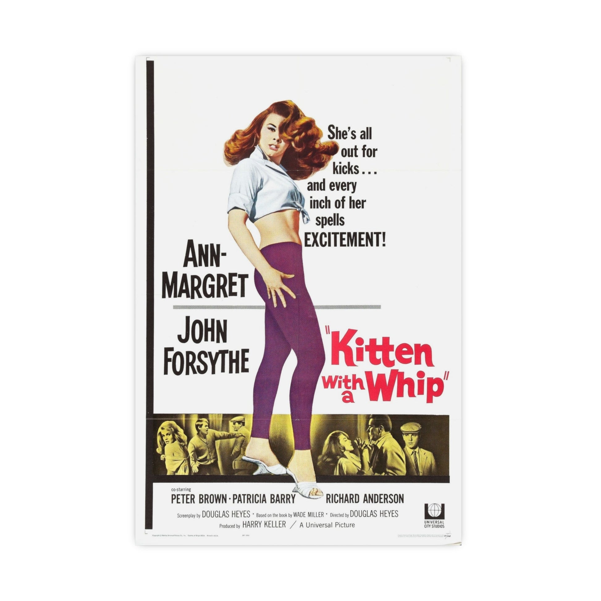 KITTEN WITH A WHIP 1964 - Paper Movie Poster-16″ x 24″ (Vertical)-The Sticker Space