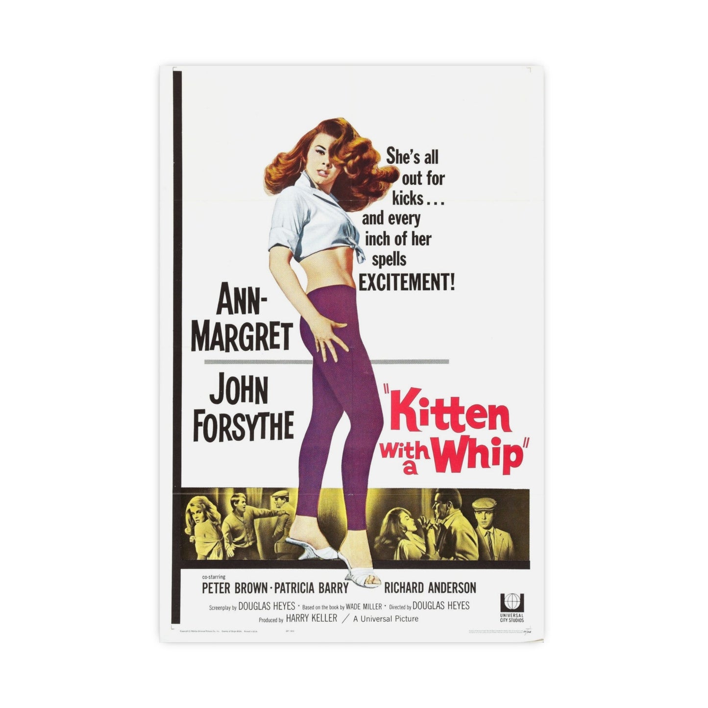 KITTEN WITH A WHIP 1964 - Paper Movie Poster-20″ x 30″ (Vertical)-The Sticker Space