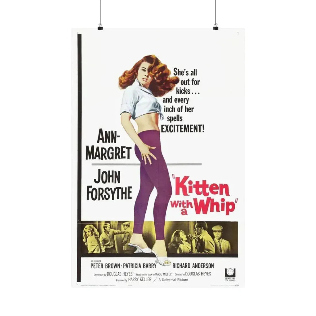KITTEN WITH A WHIP 1964 - Paper Movie Poster 24″ x 36″ Matte - The Sticker Space