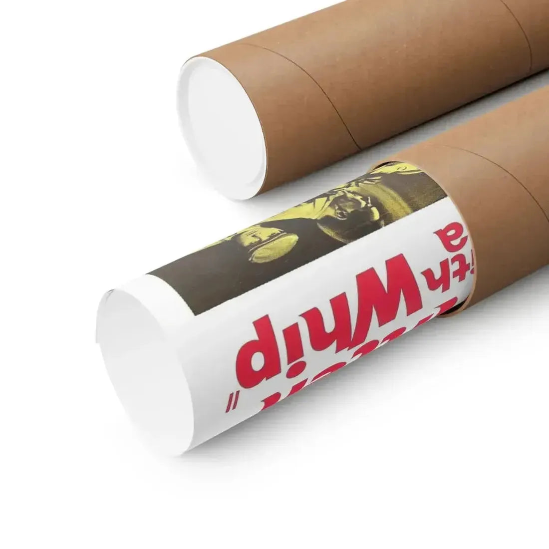 KITTEN WITH A WHIP 1964 - Paper Movie Poster - The Sticker Space