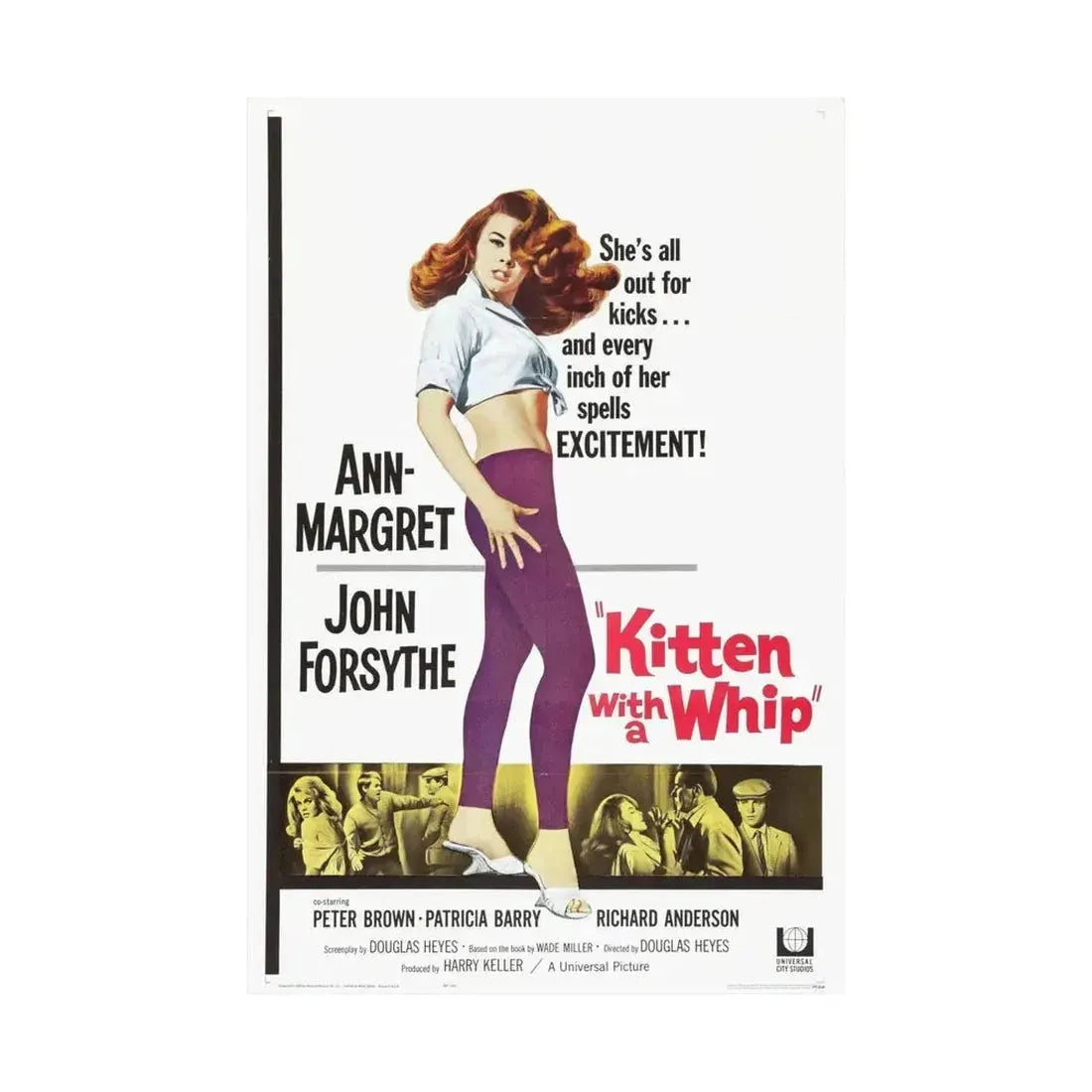 KITTEN WITH A WHIP 1964 - Paper Movie Poster - The Sticker Space
