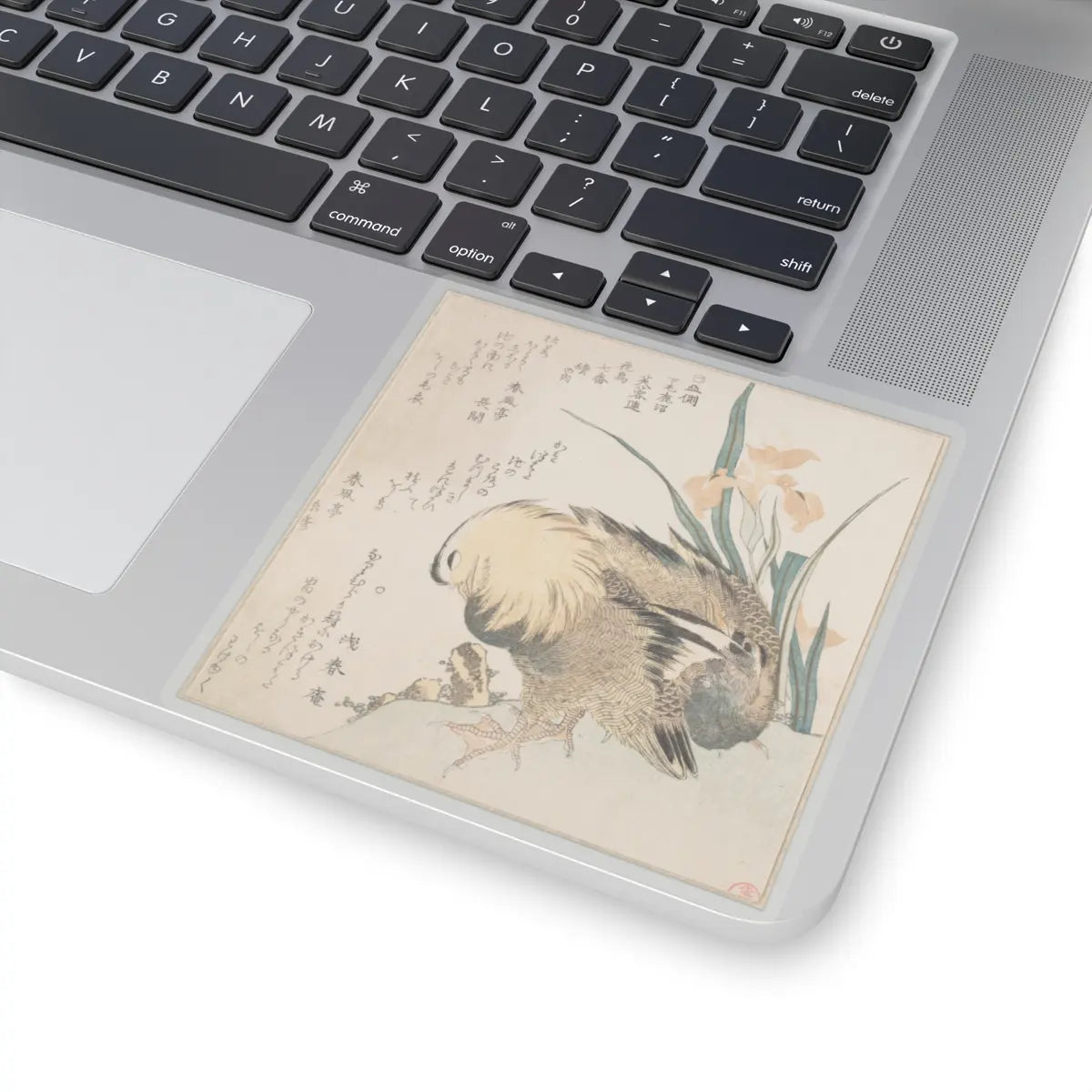 SKU:TSS-STICK-KBSHN-4X4-13W9F Sizes:4" × 4" Types:Transparent