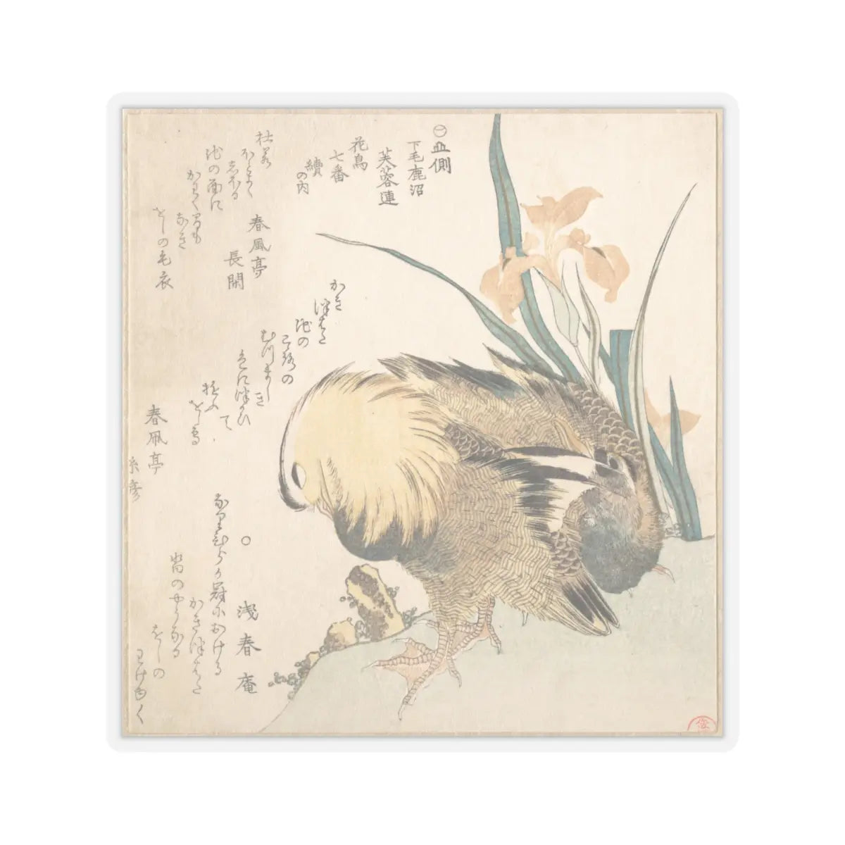 SKU:TSS-STICK-KBSHN-6X6-13W9F Sizes:6" × 6" Types:Transparent