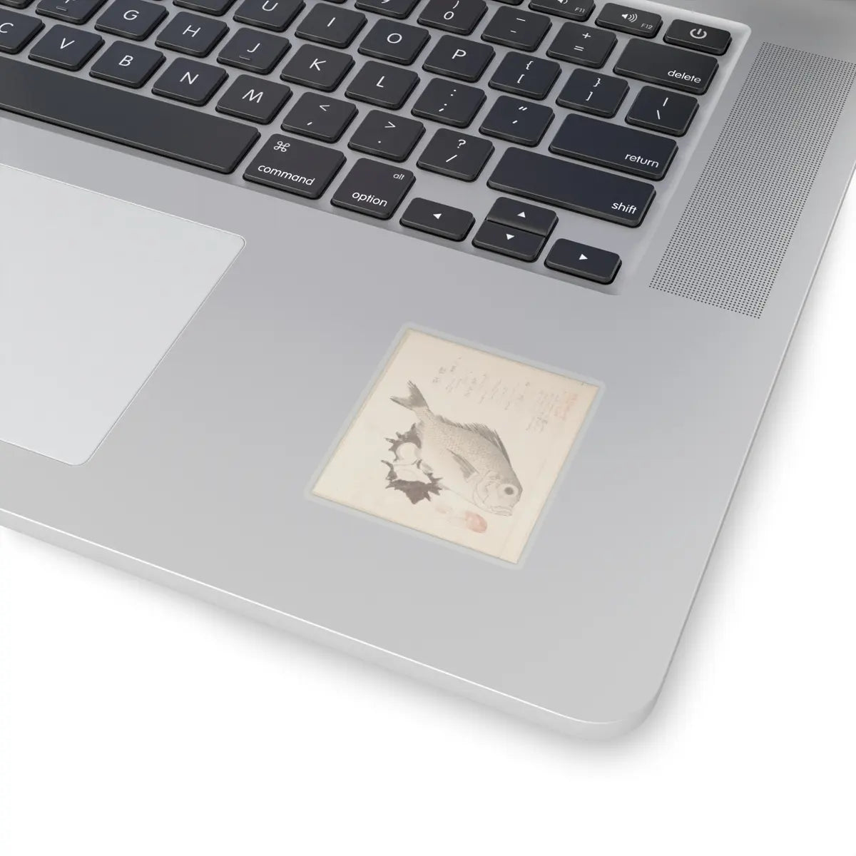 SKU:TSS-STICK-KBSHN-2X2-13WAL Sizes:2" × 2" Types:Transparent