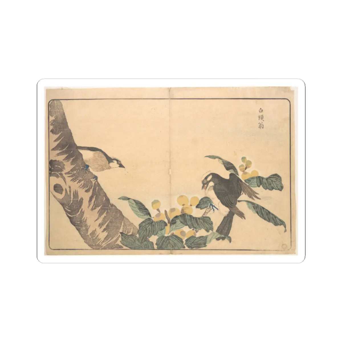 SKU:TSS-STICK-KWGKS-4X4-13WC3 Sizes:4" × 4" Types:White