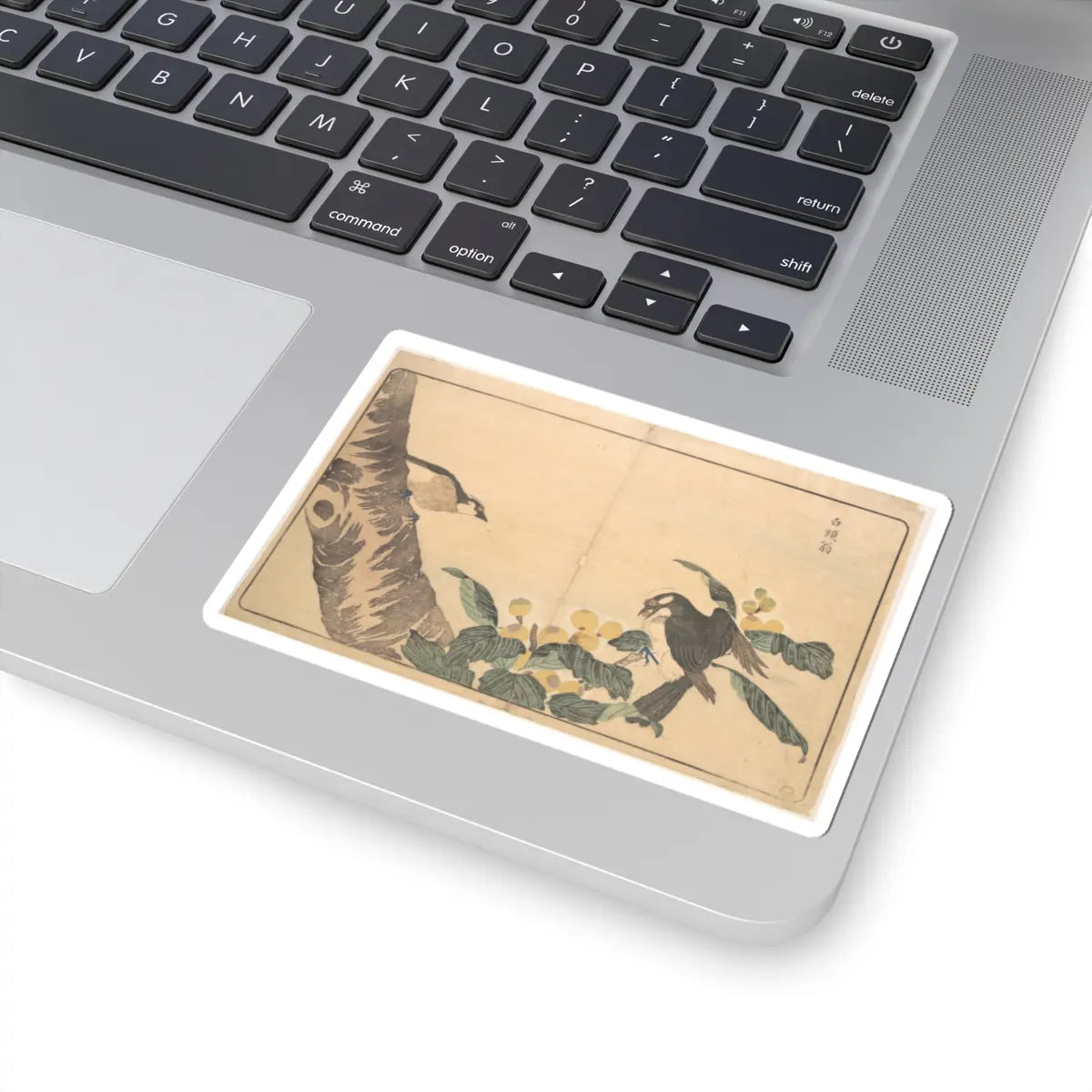 SKU:TSS-STICK-KWGKS-4X4-13WC3 Sizes:4" × 4" Types:White