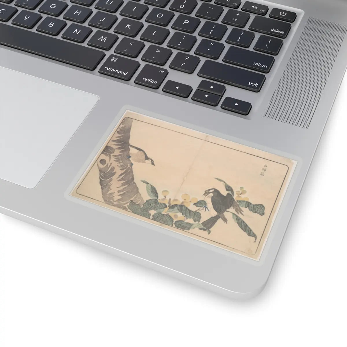 SKU:TSS-STICK-KWGKS-4X4 Sizes:4" × 4" Types:Transparent