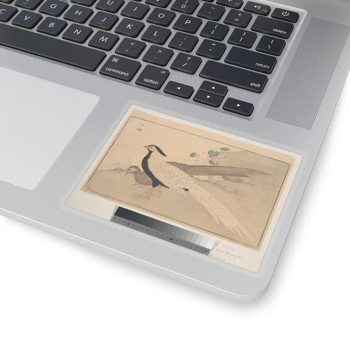 SKU:TSS-STICK-KWGKS-4X4-13WC4 Sizes:4" × 4" Types:Transparent