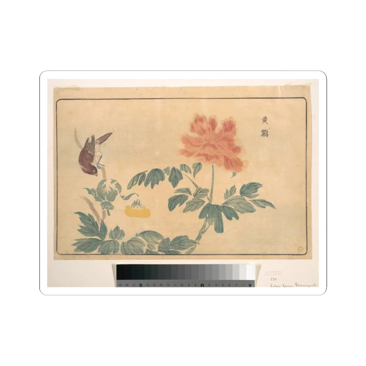 SKU:TSS-STICK-KWGKS-4X4-5 Sizes:4" × 4" Types:White
