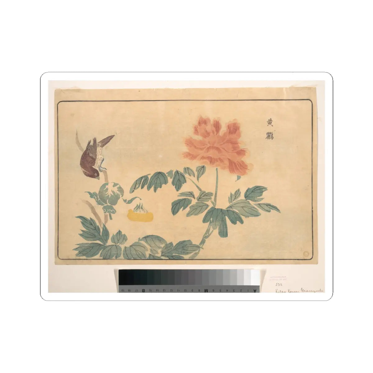 SKU:TSS-STICK-KWGKS-6X6-5 Sizes:6" × 6" Types:White