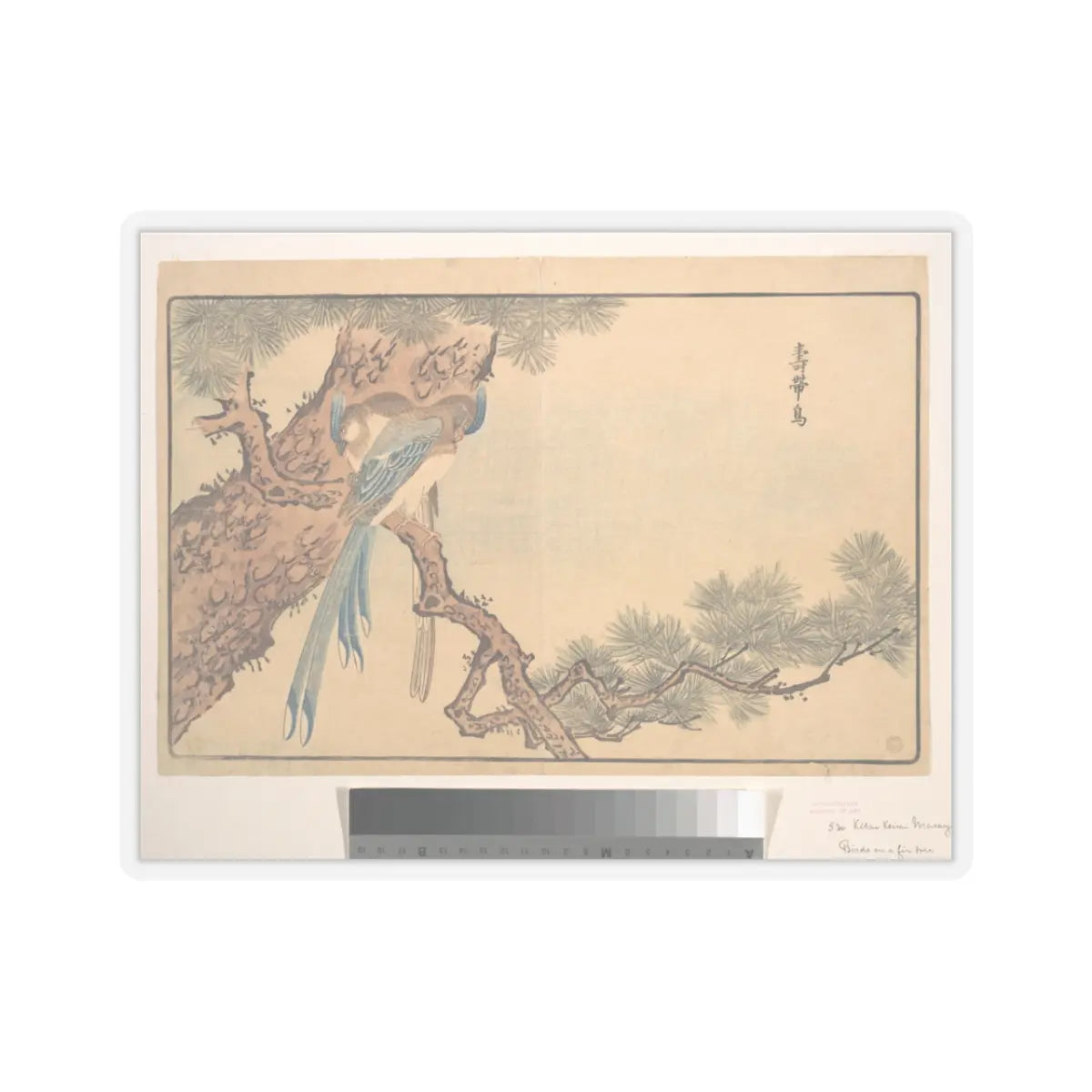SKU:TSS-STICK-KWGKS-3X3-13WCB Sizes:3" × 3" Types:Transparent