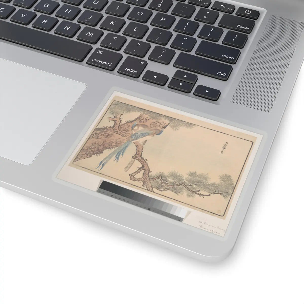 SKU:TSS-STICK-KWGKS-4X4-13WCB Sizes:4" × 4" Types:Transparent