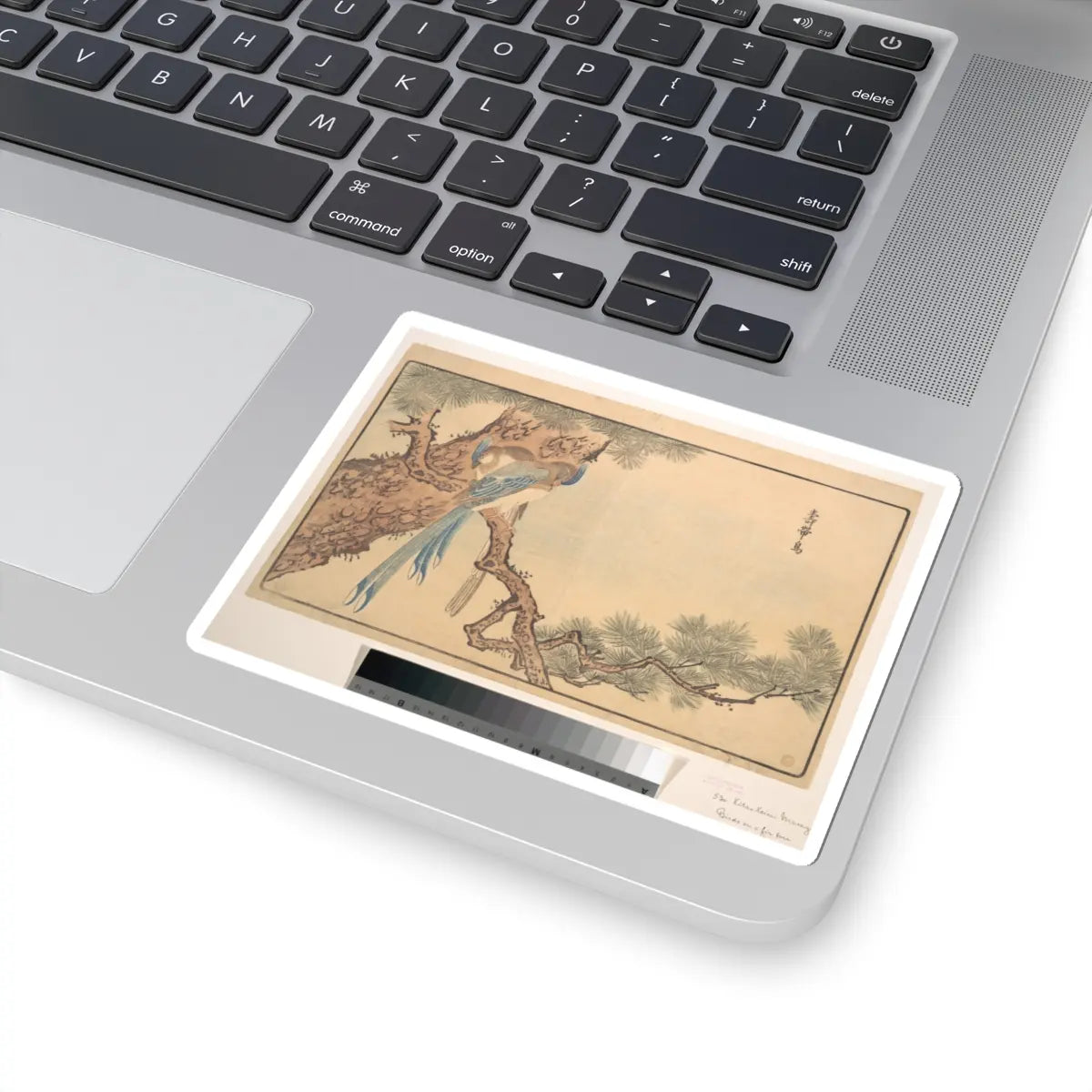 SKU:TSS-STICK-KWGKS-4X4-9 Sizes:4" × 4" Types:White