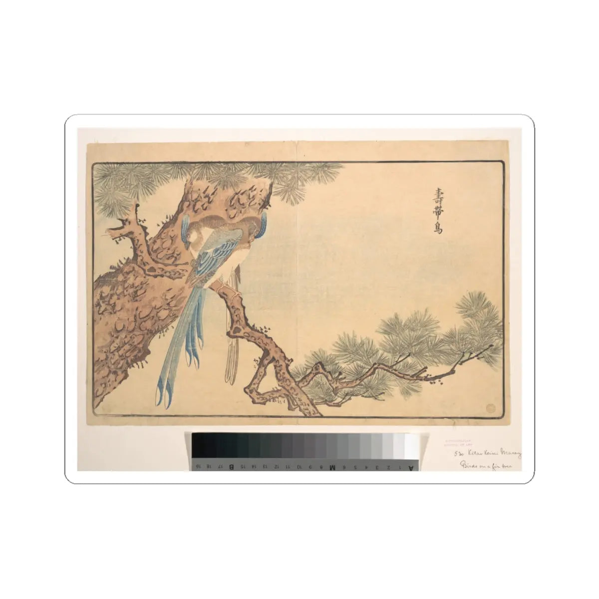 SKU:TSS-STICK-KWGKS-6X6-9 Sizes:6" × 6" Types:White