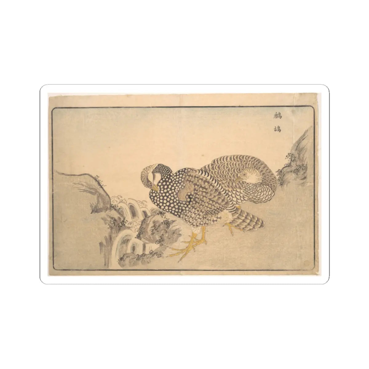 SKU:TSS-STICK-KWGKS-6X6-15 Sizes:6" × 6" Types:White