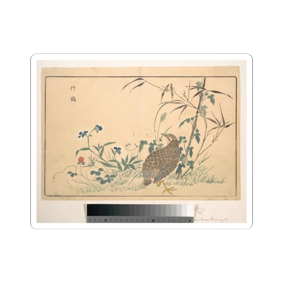 SKU:TSS-STICK-KWGKS-6X6-16 Sizes:6" × 6" Types:White