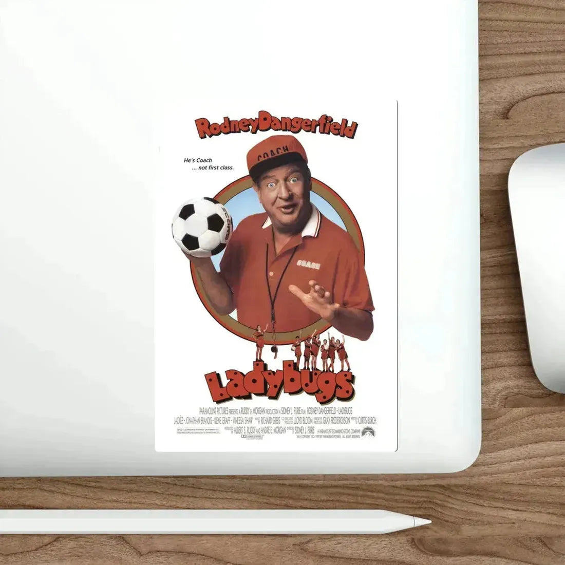 Ladybugs 1992 Movie Poster STICKER Vinyl Die-Cut Decal - The Sticker Space