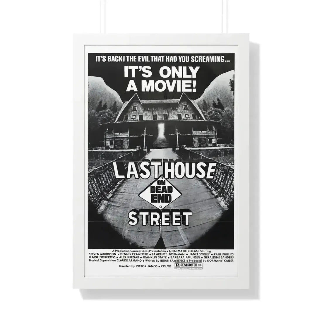 LAST HOUSE ON DEAD END STREET 1973 - Framed Movie Poster - The Sticker Space