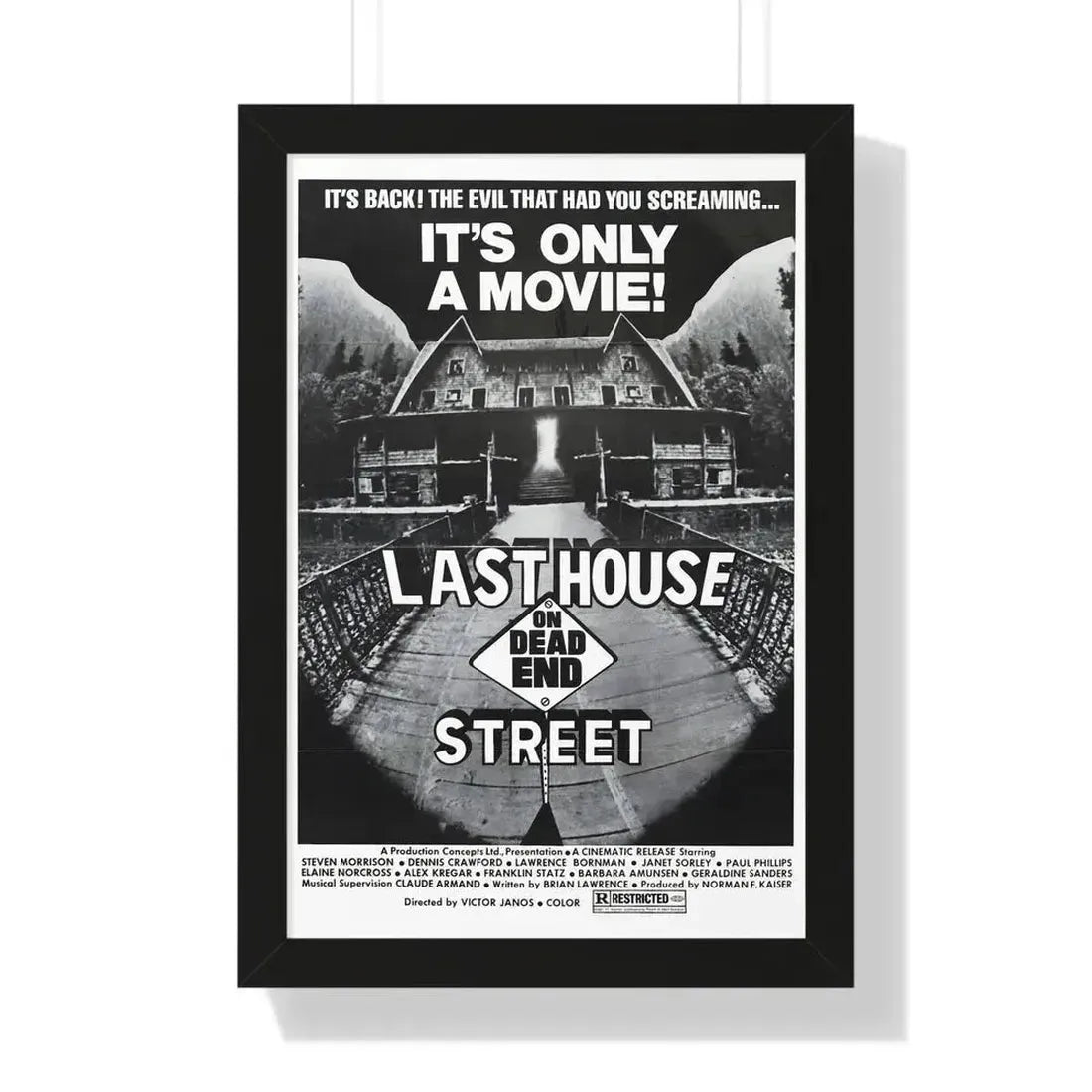 LAST HOUSE ON DEAD END STREET 1973 - Framed Movie Poster - The Sticker Space