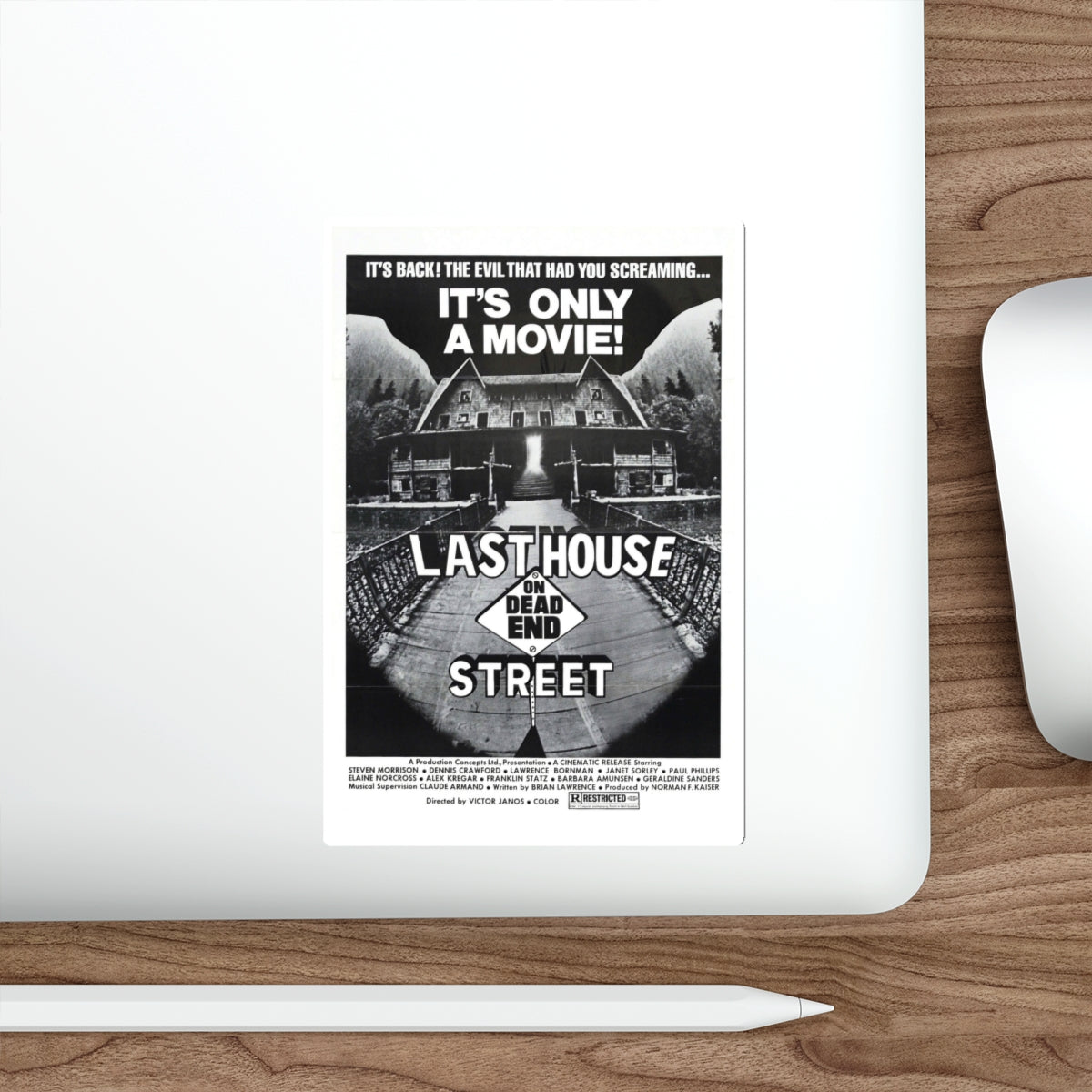 LAST HOUSE ON DEAD END STREET 1973 Movie Poster STICKER Vinyl Die-Cut Decal-The Sticker Space