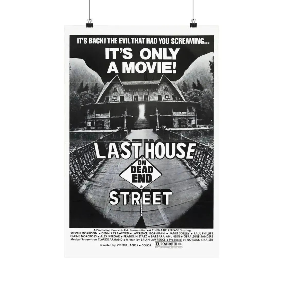 LAST HOUSE ON DEAD END STREET 1973 - Paper Movie Poster 16″ x 24″ Matte - The Sticker Space