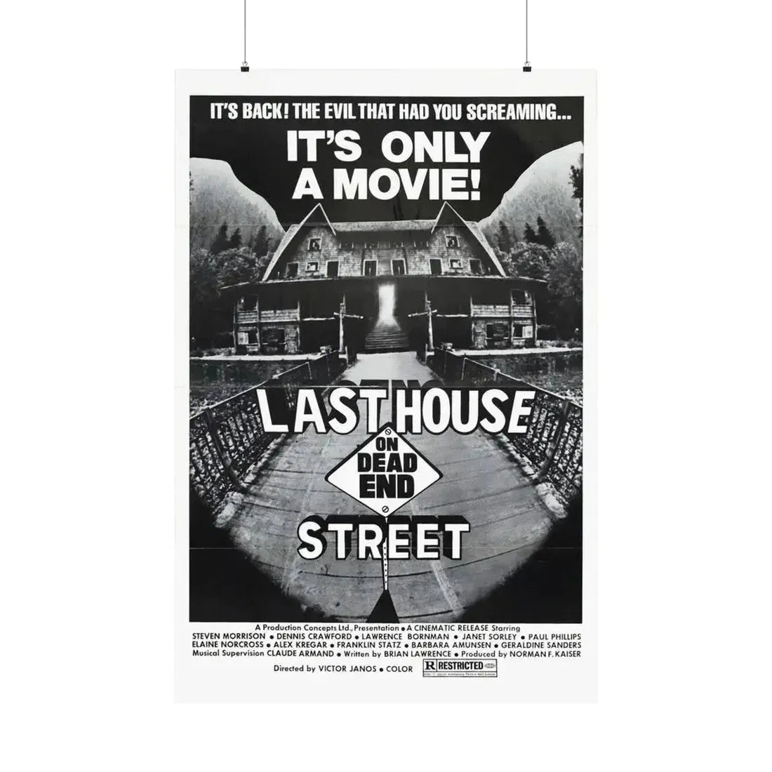 LAST HOUSE ON DEAD END STREET 1973 - Paper Movie Poster 36" x 54" Matte - The Sticker Space