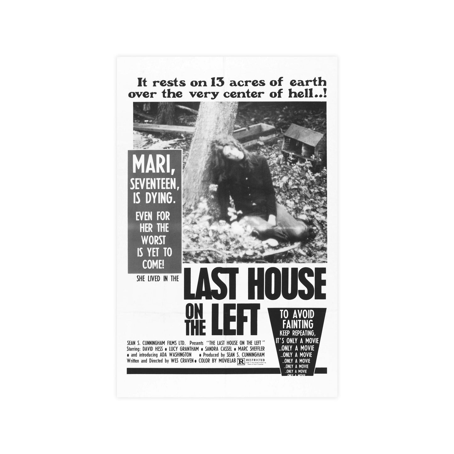 LAST HOUSE ON THE LEFT 1972 - Paper Movie Poster-11″ x 17″ (Vertical)-The Sticker Space