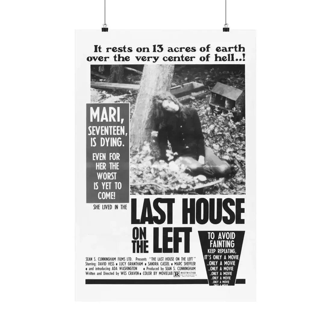 LAST HOUSE ON THE LEFT 1972 - Paper Movie Poster - The Sticker Space