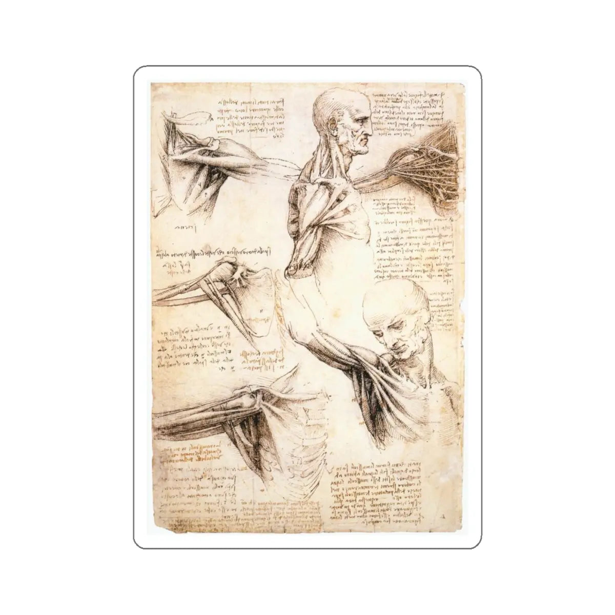SKU:16826641403440591205 Sticker types:White Shape:Die-Cut Sizes:5" × 5"